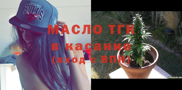 скорость Вяземский