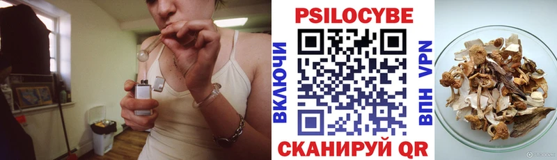 Галлюциногенные грибы прущие грибы  Купить закладки  Новоржев 